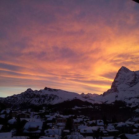 Chalet Schoenbuehl Mürren Esterno foto