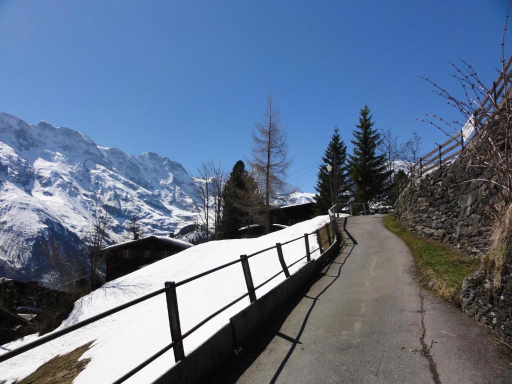 Chalet Schoenbuehl Mürren Esterno foto