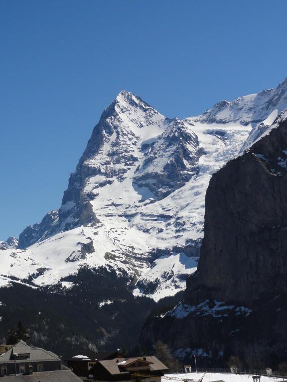 Chalet Schoenbuehl Mürren Esterno foto
