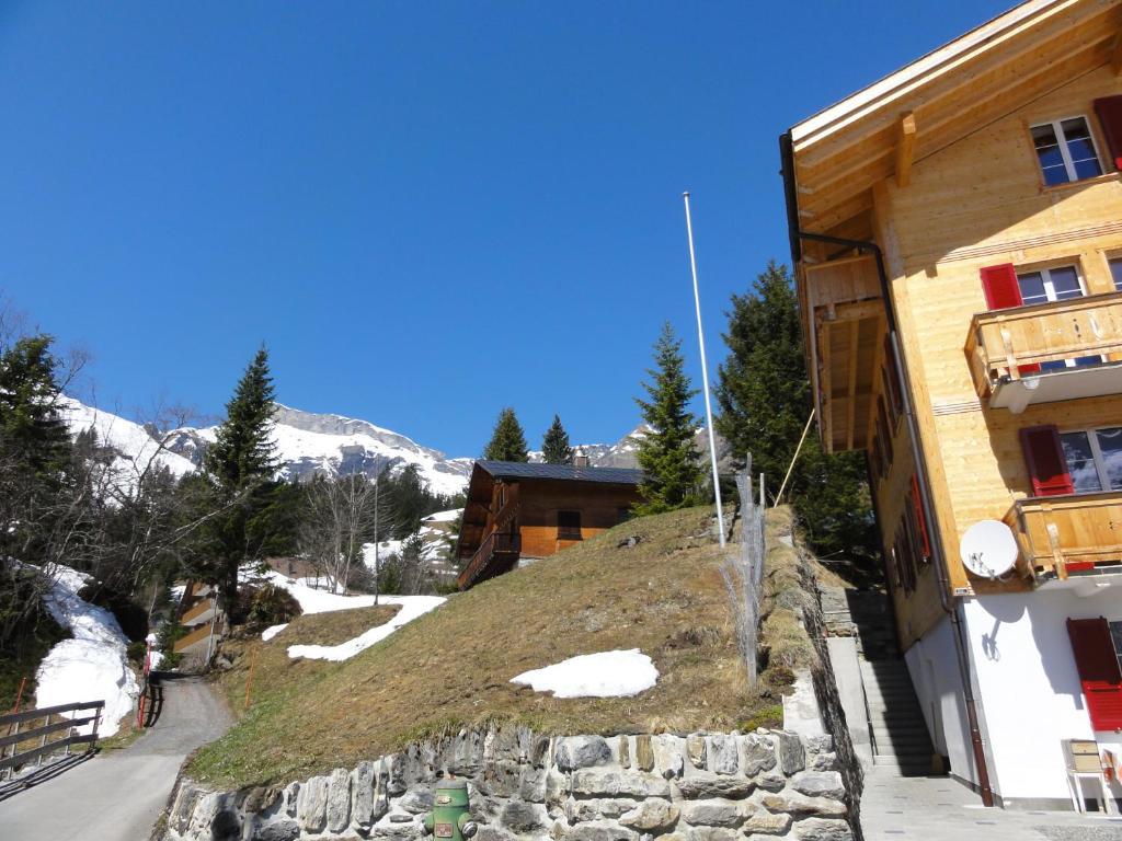 Chalet Schoenbuehl Mürren Esterno foto