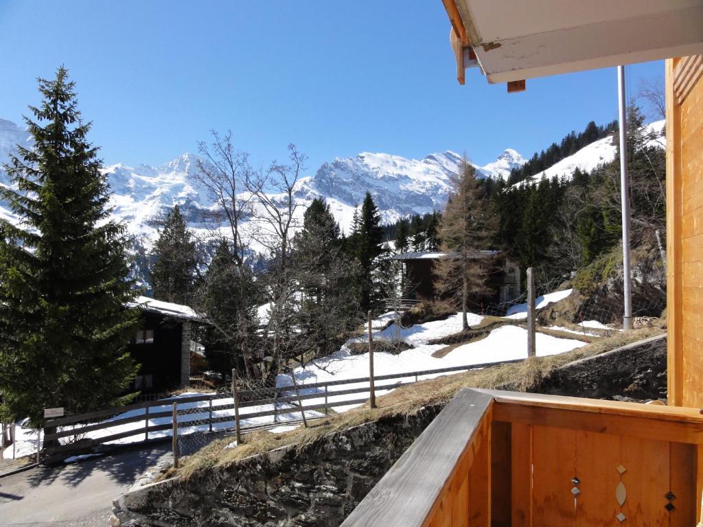Chalet Schoenbuehl Mürren Esterno foto