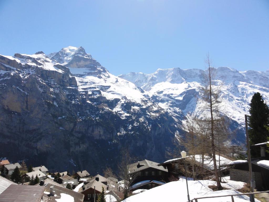 Chalet Schoenbuehl Mürren Esterno foto